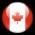 flag ca